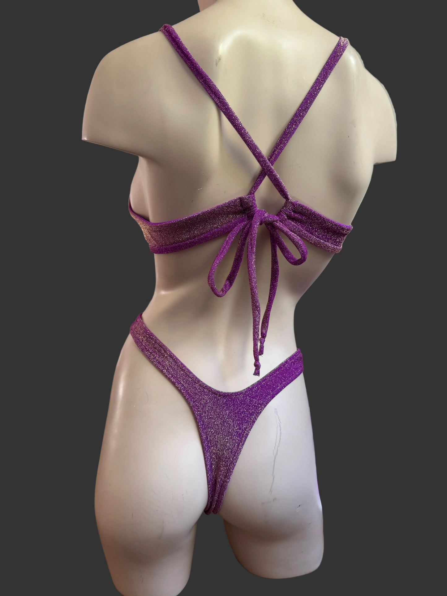 Purple Shimmer 2pc Bikini