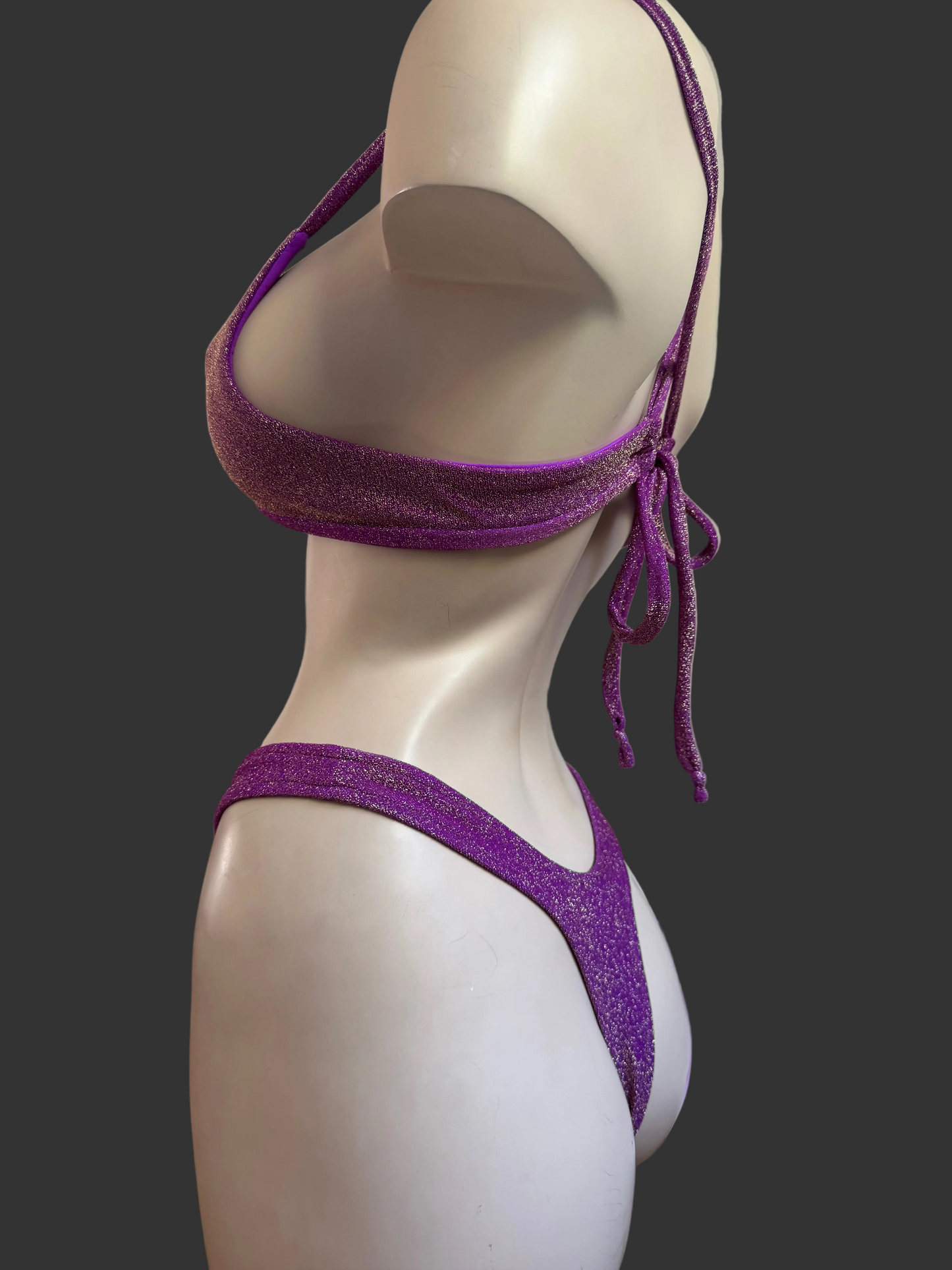 Purple Shimmer 2pc Bikini
